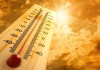 Synoptyk IMGW: na zachodzie kraju 37 stopni; noc tropikalna - zdjęcie główne