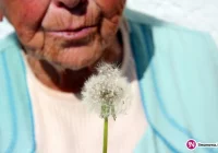 Wkrótce rusza Małopolski Inkubator Innowacji Społecznych - zdjęcie główne