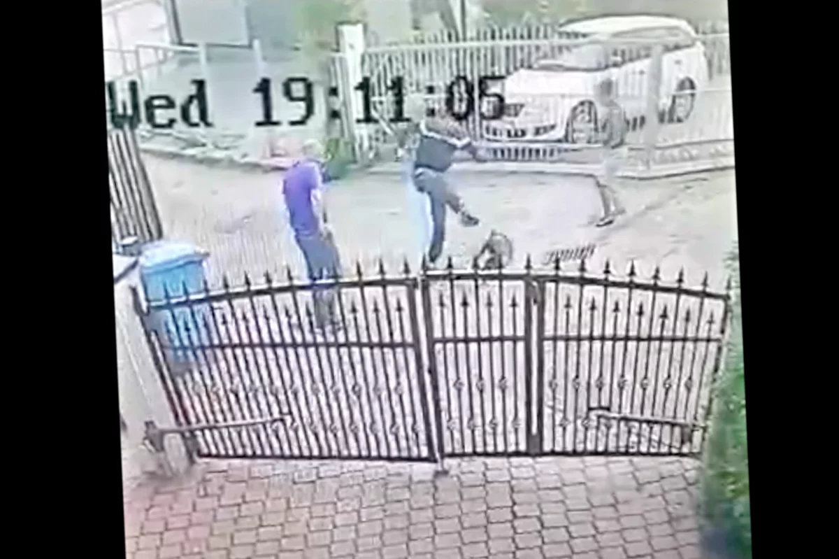 Mężczyzna na ul. Wąskiej brutalnie kopnął psa. Zdarzenie zarejestrowała kamera