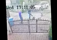 Mężczyzna na ul. Wąskiej brutalnie kopnął psa. Zdarzenie zarejestrowała kamera - zdjęcie główne