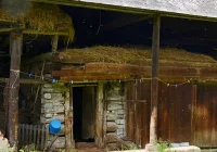 Właściciel gospodarstwa z zarzutami. Sąd nie zgodził się na areszt - zdjęcie główne