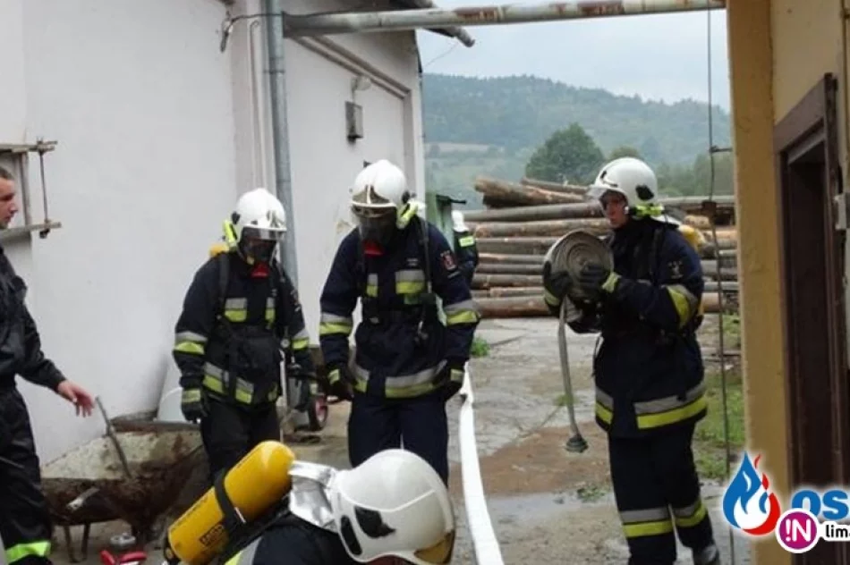 Wiele elementów strażackich ćwiczeń - zdjęcie 4