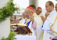 Tłumy wiernych na centralnej uroczystości odpustowej z kard. Dziwiszem (retransmisja TV Trwam) - zdjęcie główne