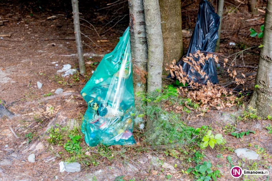 Zaśmiecony Rezerwat przyrody Mogielica - zdjęcie 3