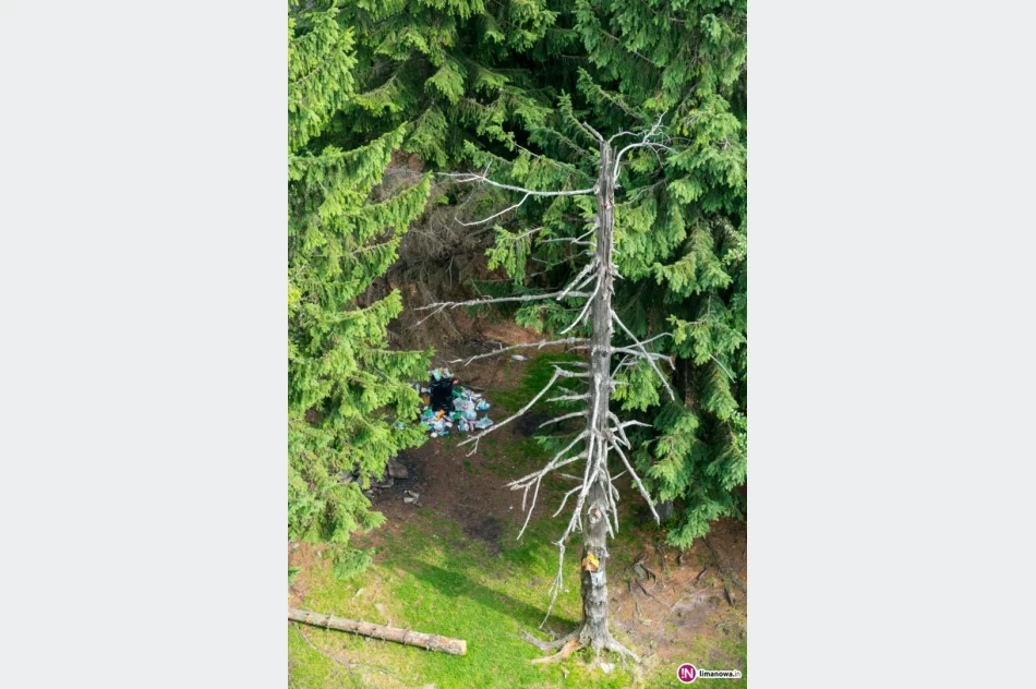 Zaśmiecony Rezerwat przyrody Mogielica - zdjęcie 4