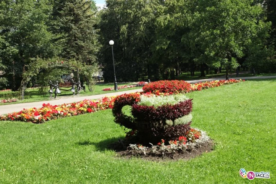 Glosujcie na Nowy Sącz  - miasto kwiatów i zieleni - zdjęcie 2