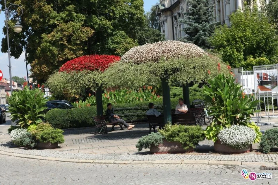 Glosujcie na Nowy Sącz  - miasto kwiatów i zieleni - zdjęcie 3