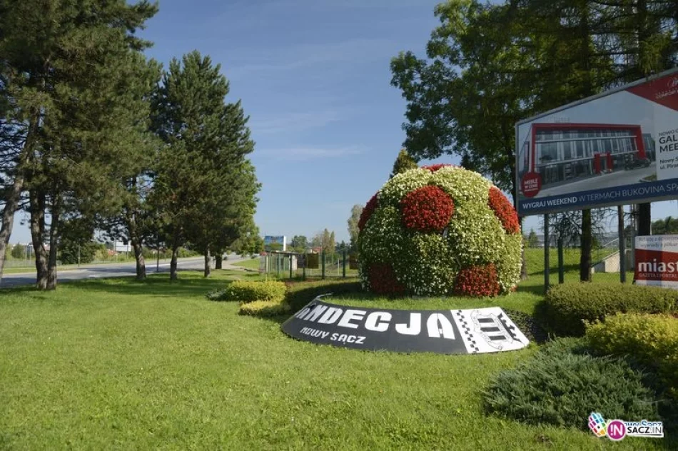 Glosujcie na Nowy Sącz  - miasto kwiatów i zieleni - zdjęcie 4