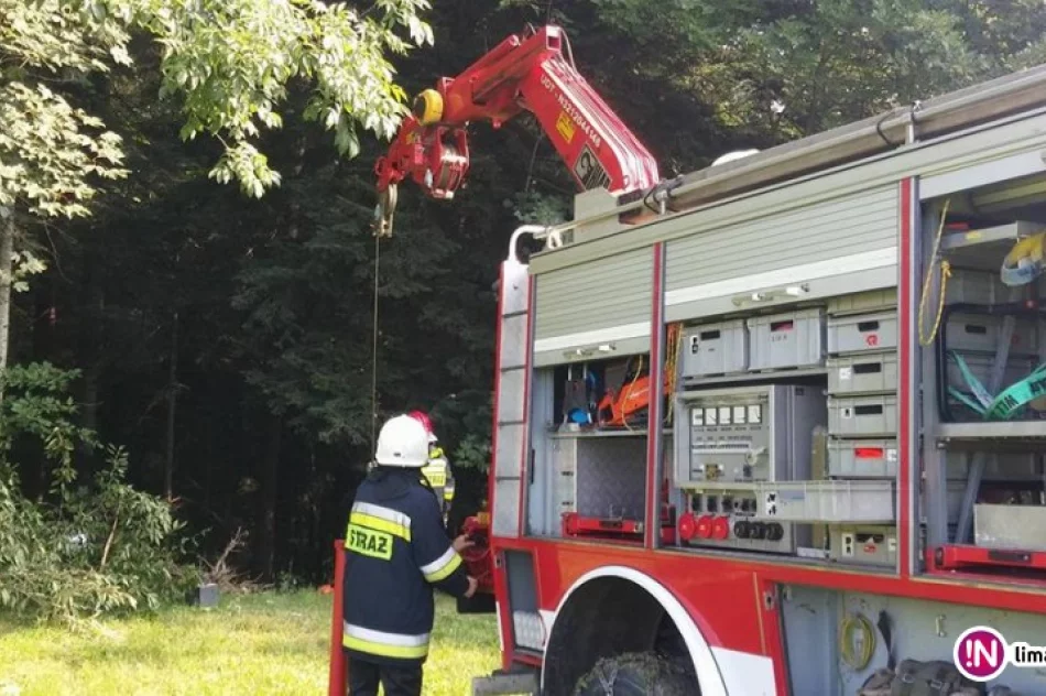 Ciągnik zsunął się ze skarpy i zatrzymał w lesie. Jedna osoba trafiła do szpitala - zdjęcie 4