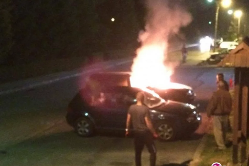 Nocny pożar samochodu (wideo) - zdjęcie 2