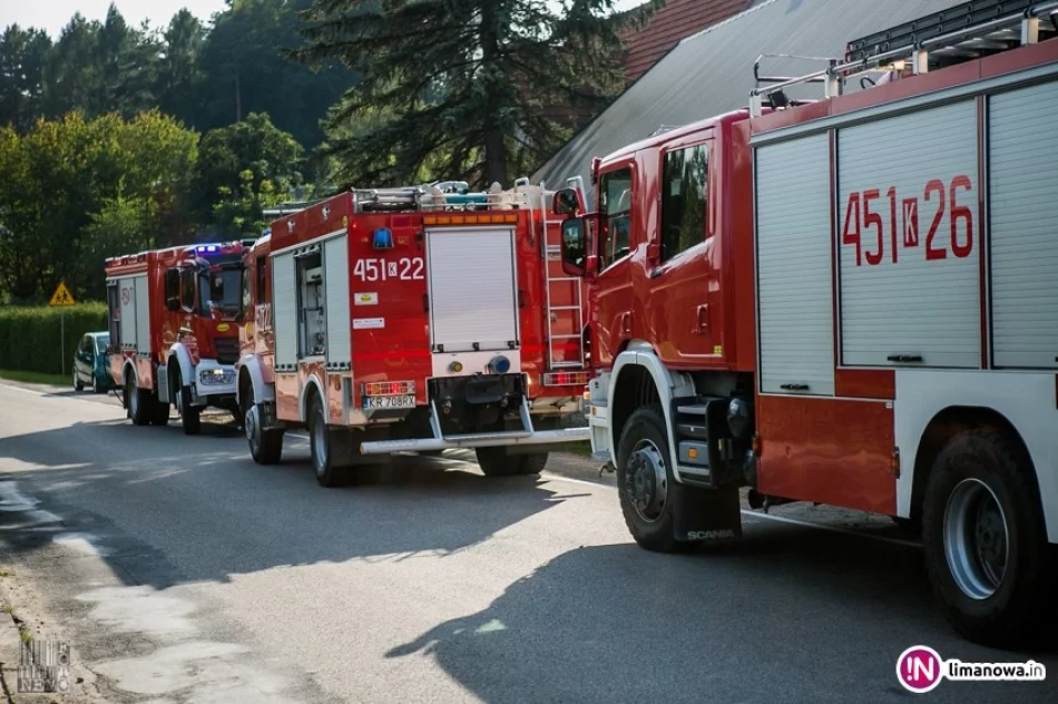 Pożar w budynku mieszkalnym. Przyczyna nieustalona - zdjęcie 2