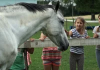 Elektron, Felicja, Tiffany, czyli przygoda niejedno ma imię - zdjęcie główne