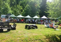 "Zagórzańskie Dziedziny" na pikniku z GPN - zdjęcie główne