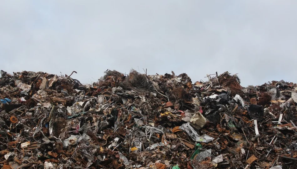Spółka ma zająć się recyklingiem, by stawki za śmieci nie szły w górę - zdjęcie 1