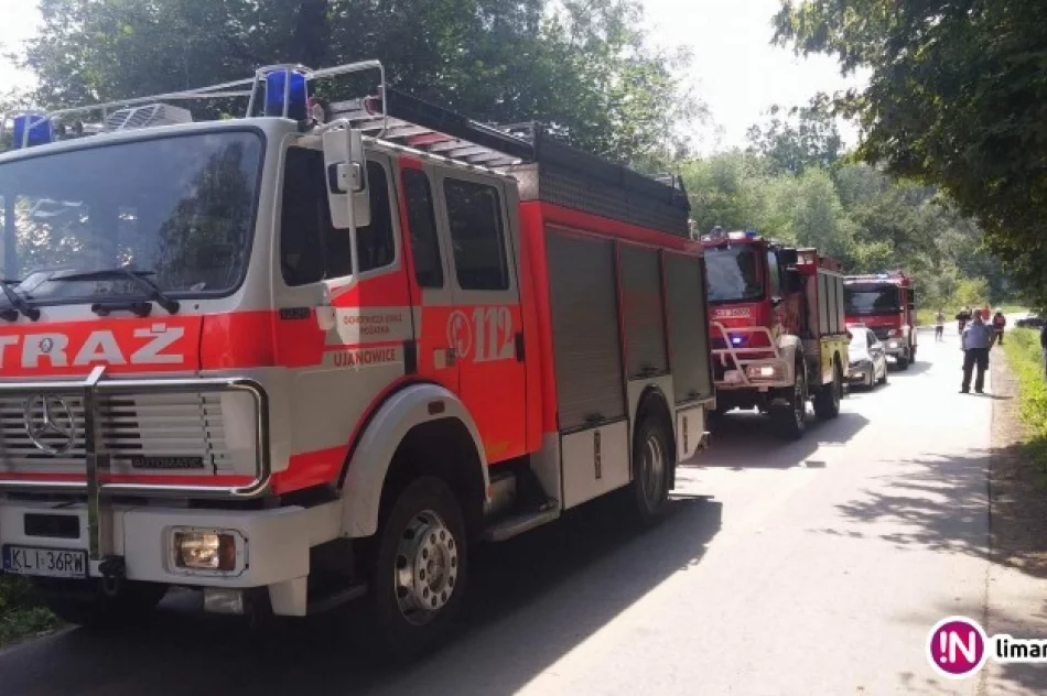 Kolizja podczas rajdu. Sprawcą zawodnik z Belgii w zabytkowym Fordzie - zdjęcie 2