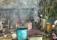 Pożar w pasiece - 60 tys. zł strat - zdjęcie główne