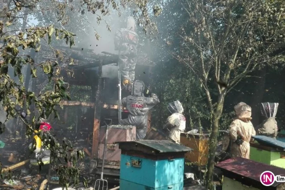 Pożar w pasiece - 60 tys. zł strat - zdjęcie 2