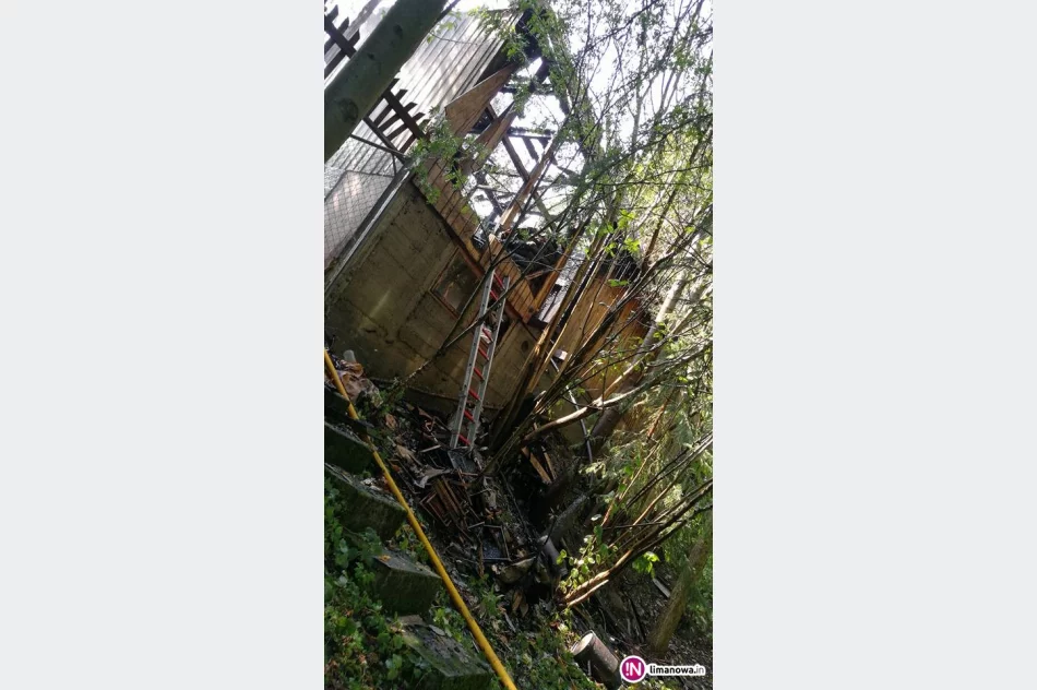 Pożar w pasiece - 60 tys. zł strat - zdjęcie 3