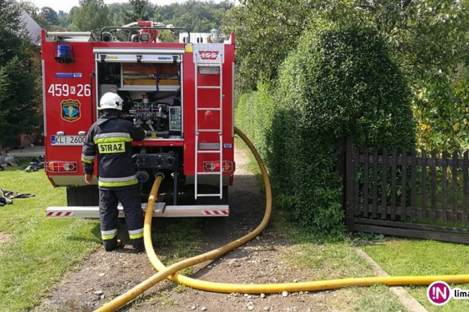 Pożar w pasiece - 60 tys. zł strat - zdjęcie 4