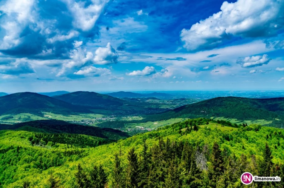 Zbliża się złaz na najładniejszym szczycie Beskidu Wyspowego - zdjęcie 2
