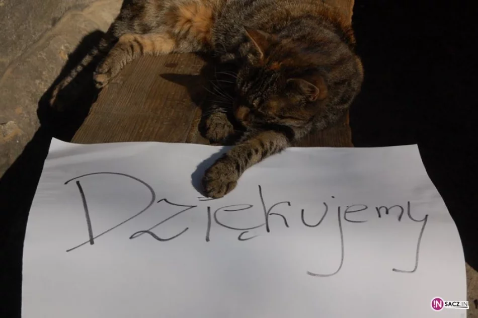 Rusza metamorfoza schroniska na Magurze Małastowskiej! - zdjęcie 2