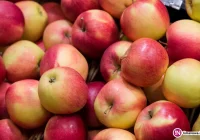 Rząd będzie skupował jabłka? Interwencjonizm państwowy ratunkiem dla sadowników? - zdjęcie główne