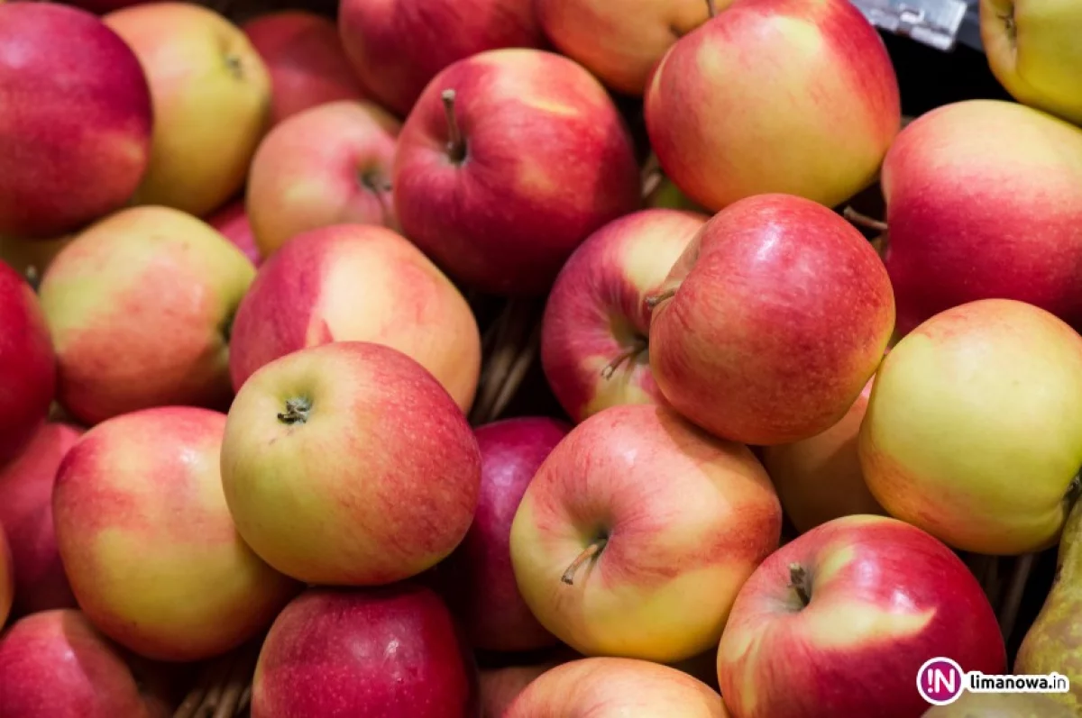 Rząd będzie skupował jabłka? Interwencjonizm państwowy ratunkiem dla sadowników?