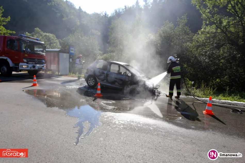 Samochód spłonął na drodze - zdjęcie 2