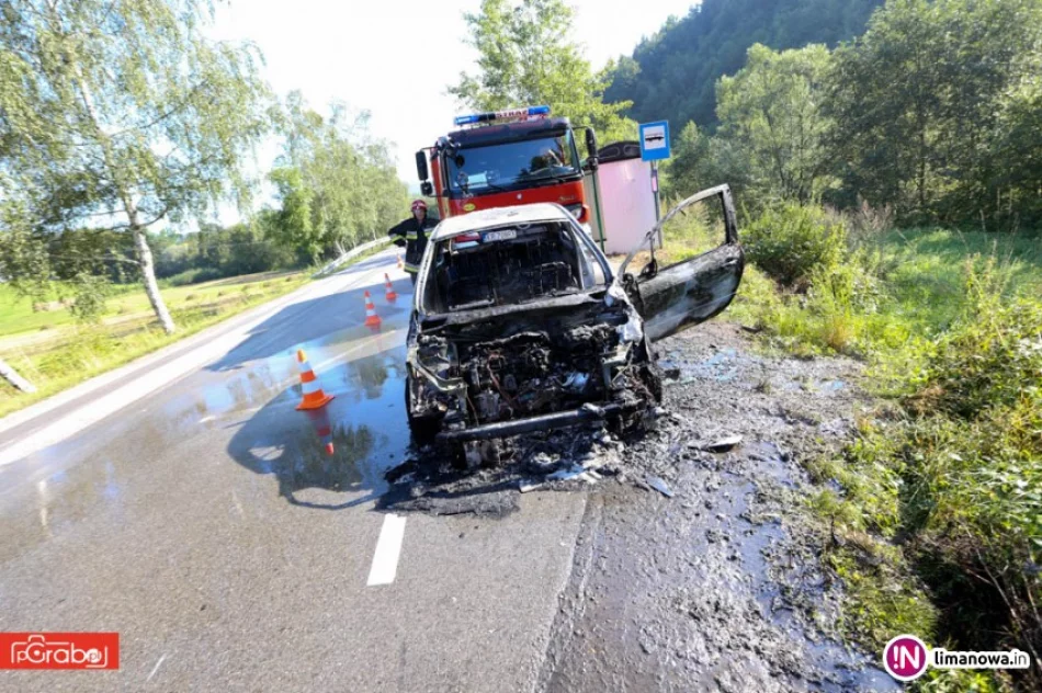 Samochód spłonął na drodze - zdjęcie 4