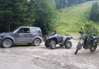 Wspólne działania służb w lasach przeciw chuliganom - zdjęcie główne