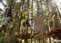 Aktywne dni pełne wrażeń w parku linowym - zdjęcie główne