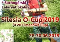 Limanowa Cup… na Śląsku - zdjęcie główne