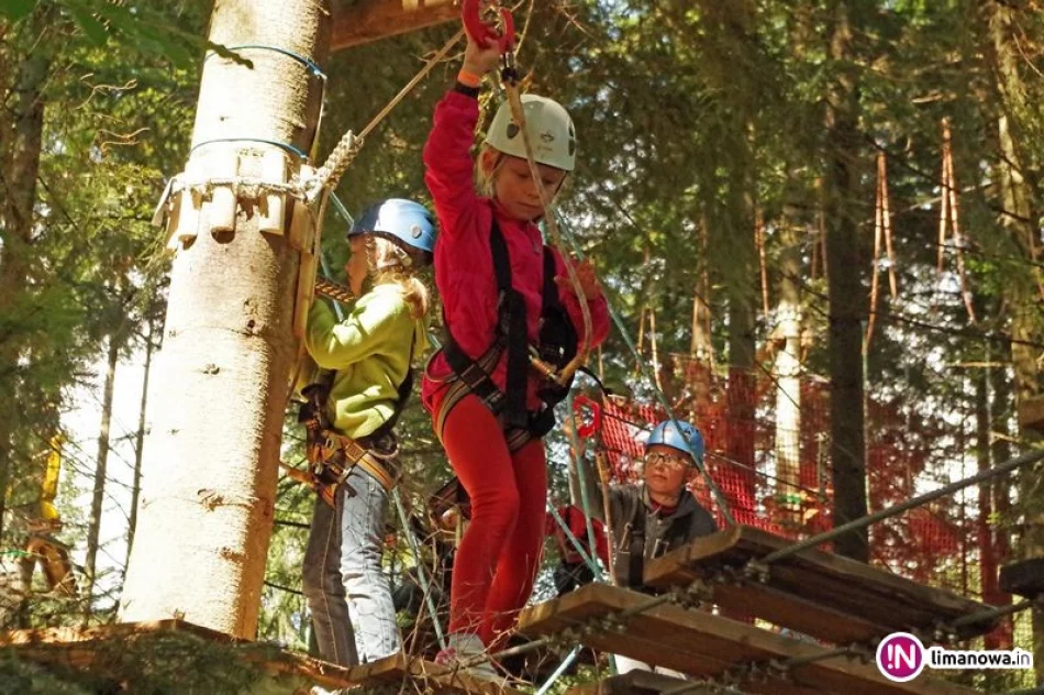 Aktywne dni pełne wrażeń w parku linowym - zdjęcie 4
