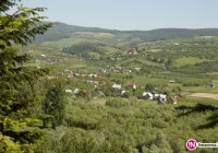 'Trudno jest pchać ręce w ogień, na którym ktoś się sparzył' - zdjęcie główne