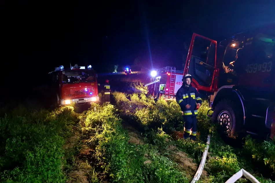 Nocny pożar budynku gospodarczego. Przyczyną podpalenie? - zdjęcie 3