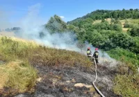 Spłonęło ok. 2 ha nieużytków - zdjęcie główne