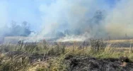 Spłonęło ok. 2 ha nieużytków - zdjęcie 2