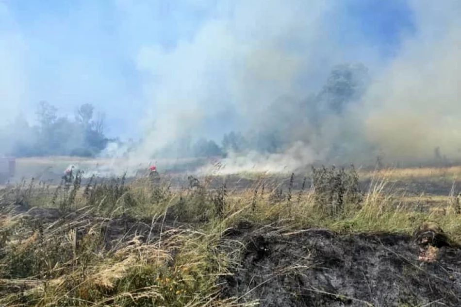 Spłonęło ok. 2 ha nieużytków - zdjęcie 2