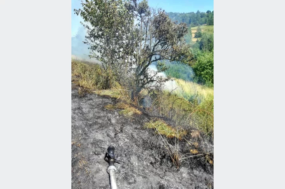 Spłonęło ok. 2 ha nieużytków - zdjęcie 3