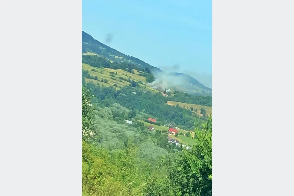 Spłonęło ok. 2 ha nieużytków - zdjęcie 5