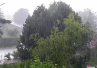 Choć miejscami intensywnie pada w Nowym Sączu możemy spać spokojnie - zdjęcie główne