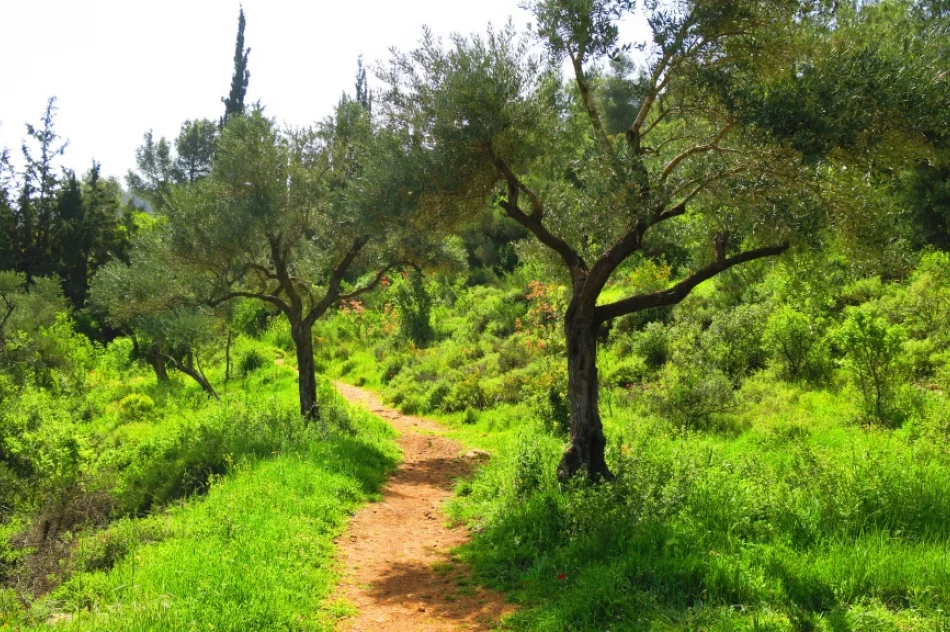 Udowadnia, że nie ma rzeczy niemożliwych - jeśli jest się ambitnym i otwartym na potrzeby innych - zdjęcie 2
