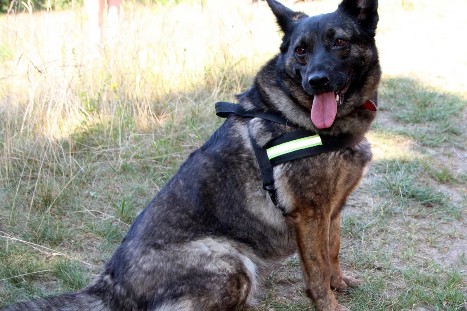 Turyści spotkali się na Sałaszu - zdjęcie 6