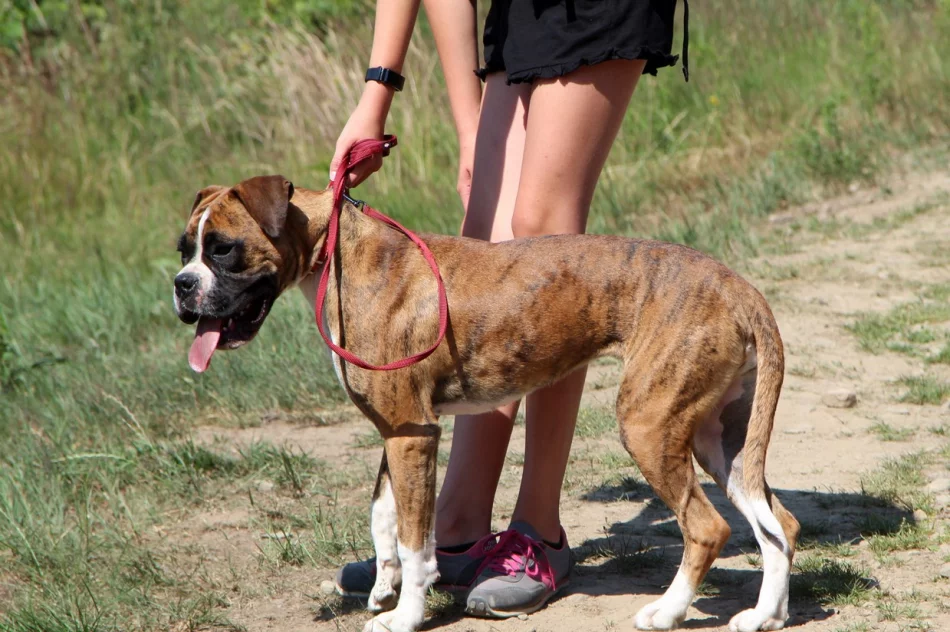 Turyści spotkali się na Sałaszu - zdjęcie 8