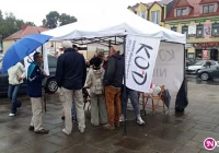Działacze KOD-u przyjechali, by rozmawiać z mieszkańcami o demokracji - zdjęcie główne