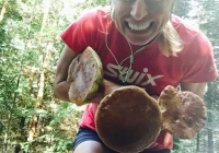 Poranne bieganie z udanym grzybobraniem - zdjęcie główne