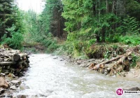 Spadło ponad 70 litrów deszczu na m2.  Zerwana kładka i most. Szlak został zamknięty - zdjęcie główne