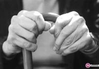 Wsparcie dla osób niesamodzielnych i ich opiekunów oraz rodzin w trudnej sytuacji - zdjęcie główne