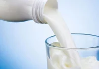 Alergia na białko mleka krowiego to poważna choroba - zdjęcie główne