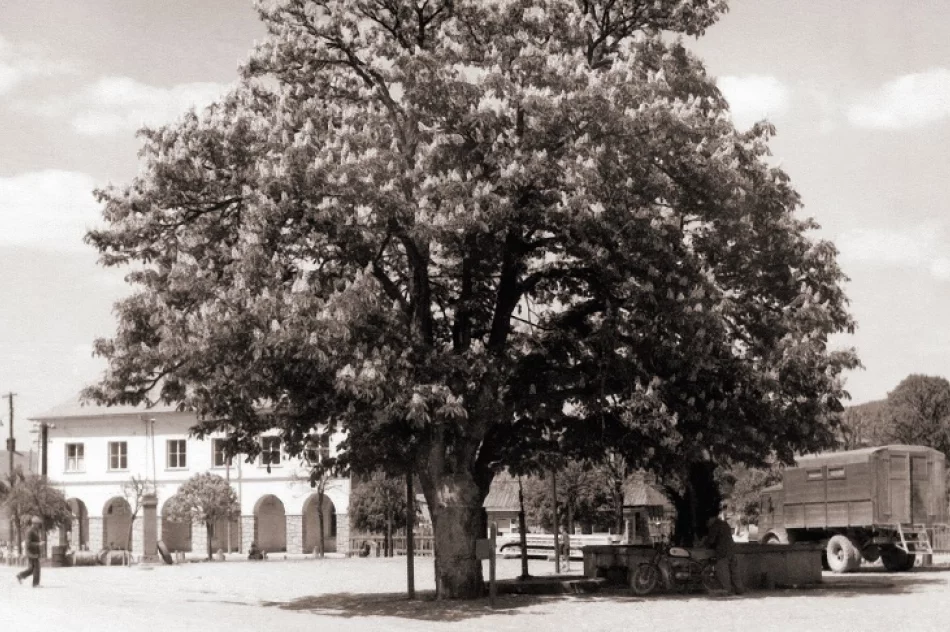RYNEK – SERCE MIASTA - zdjęcie 11